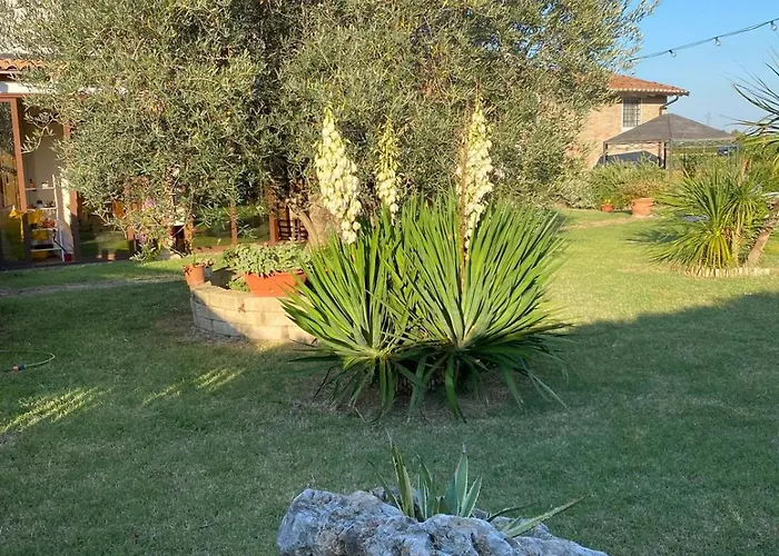 Il Leccio Couette-café San Lazzaro di Savena