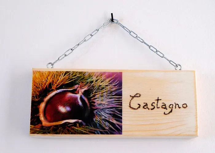 Il Leccio Couette-café 3*