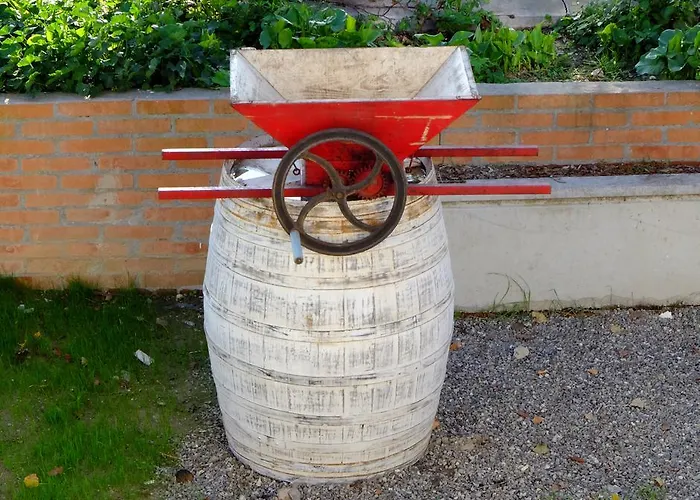 Couette-café Il Leccio San Lazzaro di Savena