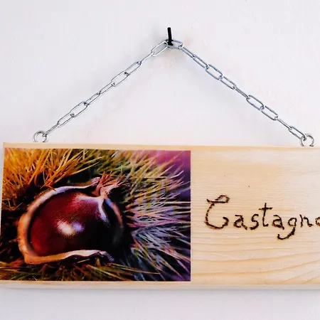 Il Leccio Bed & Breakfast 3*