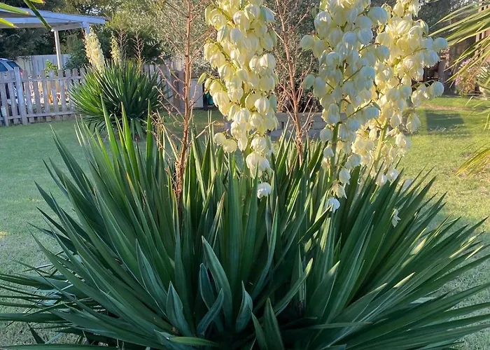 ベッド・アンド・ブレックファスト Il Leccio